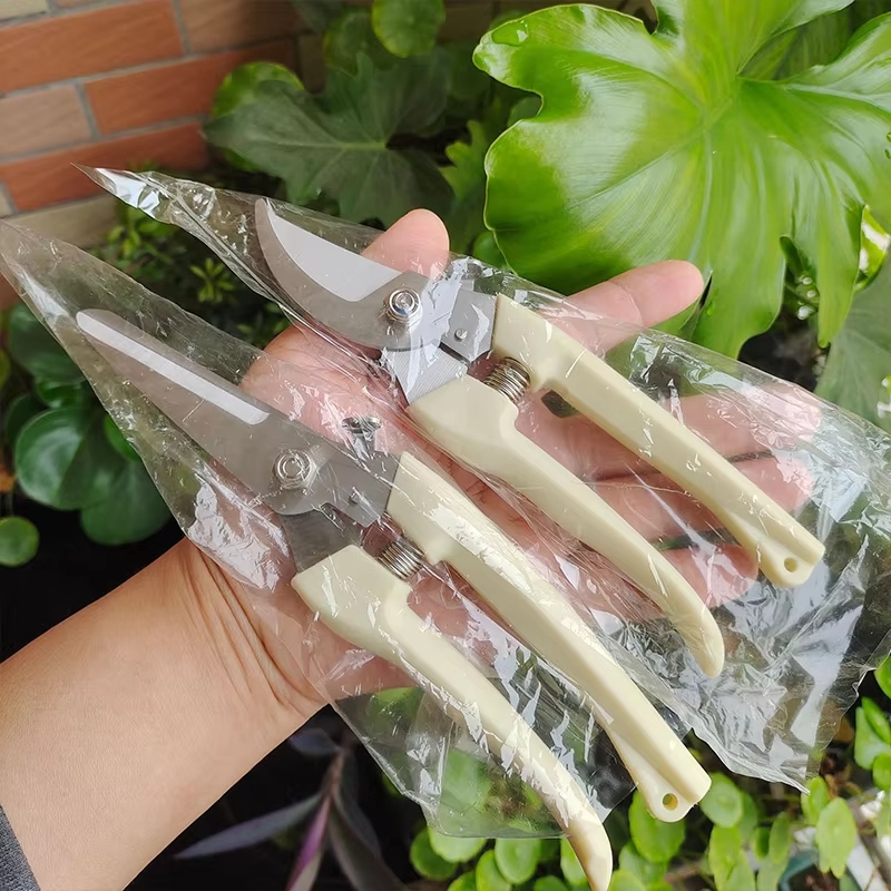 Gardening Tools To Cut Branches - กรรไกรตัดแต่งกิ่งสแตนเลส กรรไกรทำสวนสำหรับจัดดอกไม้ ตัดกิ่งไม้ผลไม้ เครื่องมือสำหรับการต่อกิ่ง