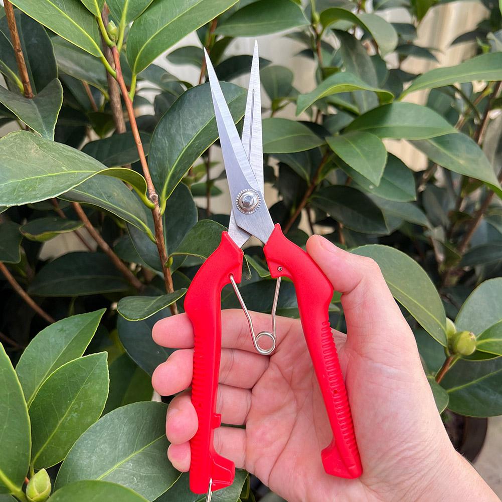 Gardening Tools Combo - กรรไกรตัดแต่งกิ่ง Pro Garden แบบยาวพิเศษ สำหรับตัดต้นไม้ ดอกไม้