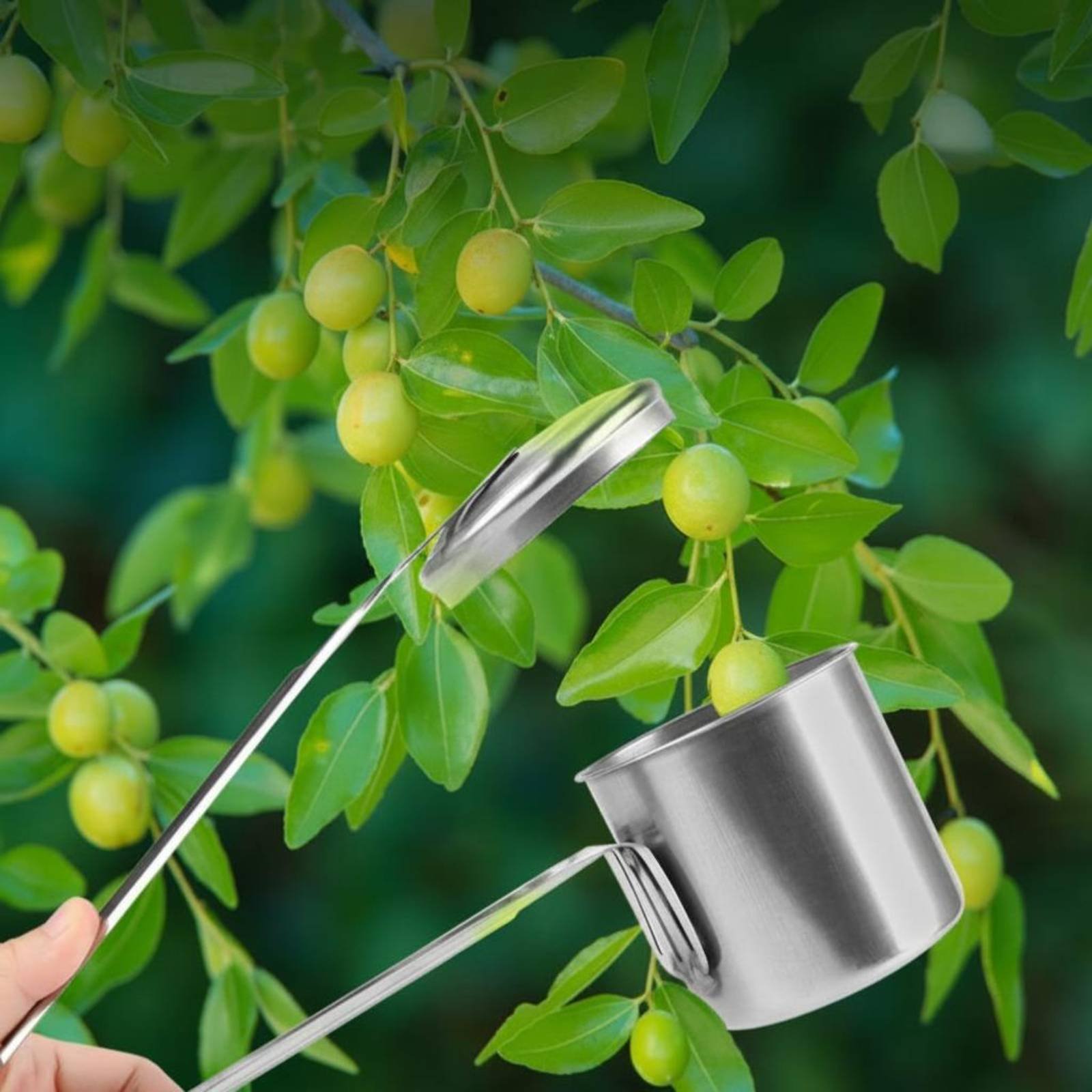 Gardening Tools Uses - ที่เก็บผลไม้แบบถ้วย สแตนเลส เครื่องมือเก็บผลไม้ อุปกรณ์ทำสวน โลหะทั้งหมด ใช้งานง่าย