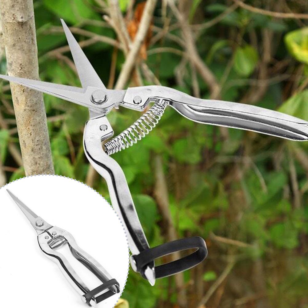 Gardening Hand Tools Yard - กรรไกรตัดแต่งกิ่ง กรรไกรทำสวน สำหรับตัดแต่งกิ่งกุหลาบ ตัดแต่งต้นไม้ และเก็บเกี่ยวผลไม้ กรรไกรตัดแต่งกิ่งแบบมือถือ