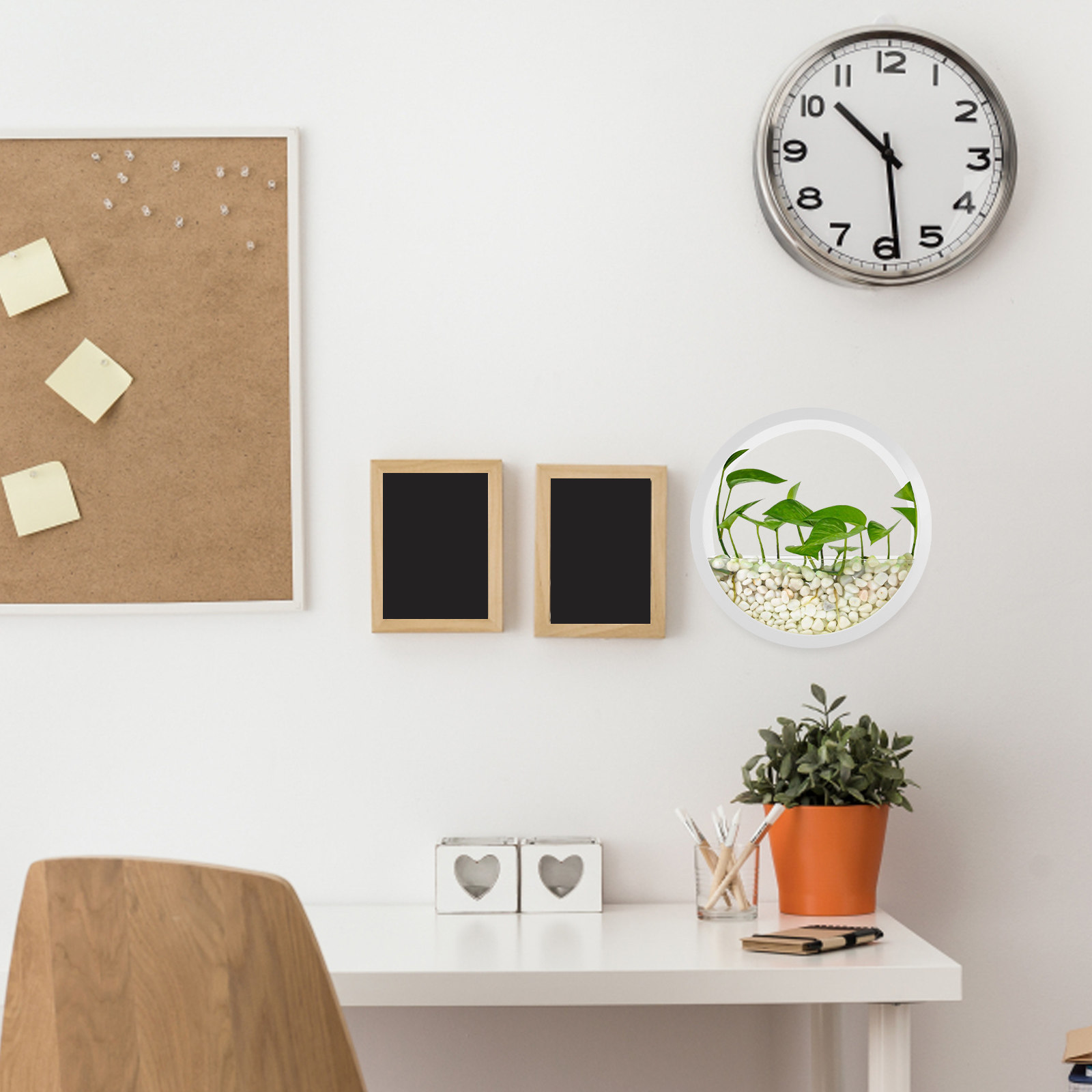 แจกันติดผนังทรงกลมใสสำหรับปลูก - Vertical Wall Planter บทวิจารณ์และราคา