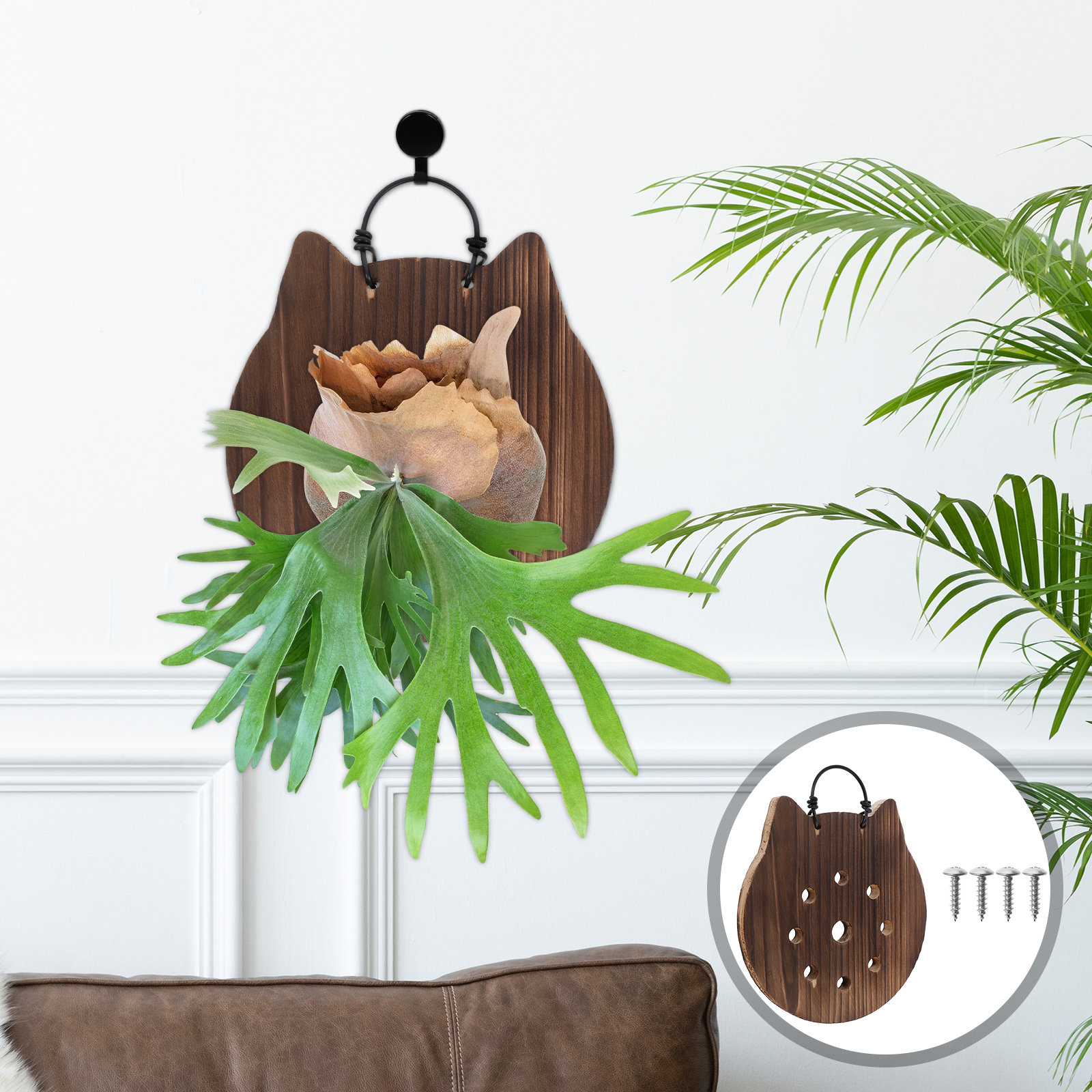 แผ่นไม้แขวนต้นไม้รูปทรงแมว ทำจ - Vertical Wall Planter บทวิจารณ์และราคา