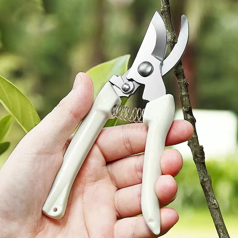 กรรไกรตัดแต่งกิ่งสแตนเลส กรรไก - Gardening Tools To Cut Branches บทวิจารณ์และราคา