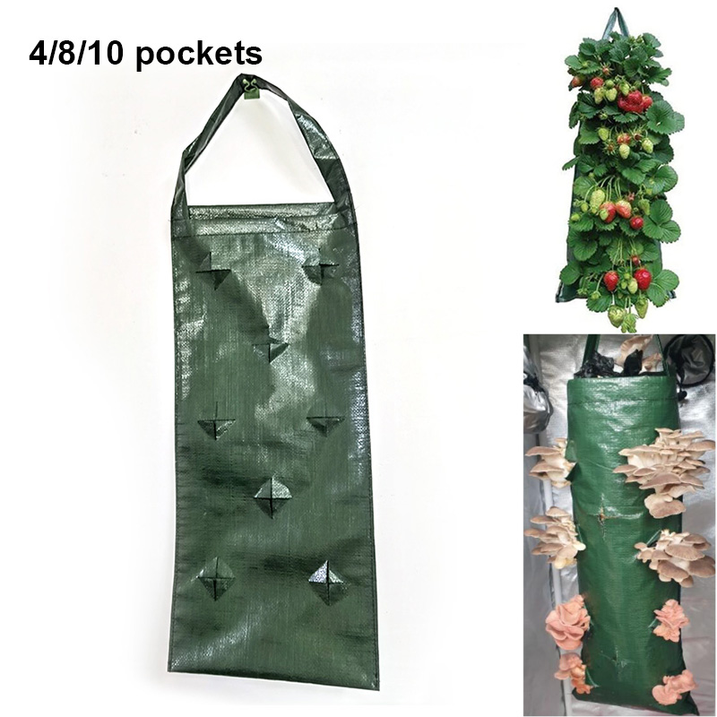 กระถางปลูกต้นไม้ในสวนแนวตั้งมี - Vertical Wall Planter บทวิจารณ์และราคา