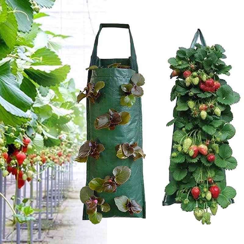 กระถางปลูกต้นไม้ในสวนแนวตั้งมี - Vertical Wall Planter บทวิจารณ์และราคา