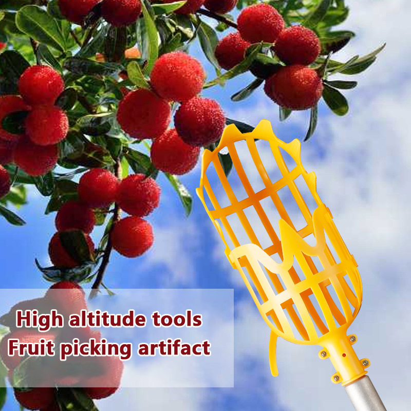 ตะกร้าเก็บผลไม้ล๊อควอท์เบอร์รี - Gardening Tools Rack บทวิจารณ์และราคา