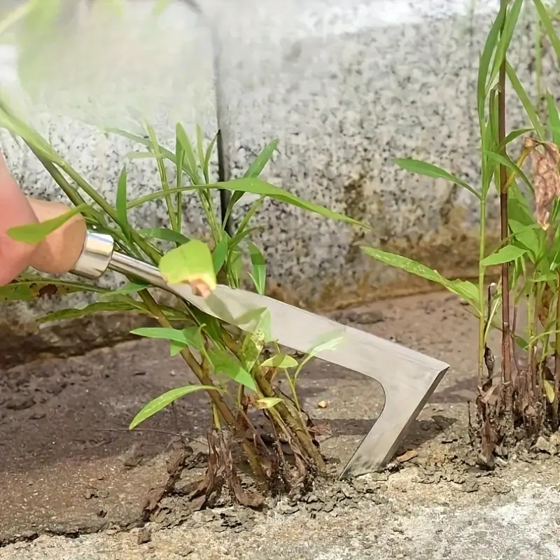พลั่วมือเหล็กคาร์บอนสําหรับงาน - Gardening Tools Spade บทวิจารณ์และราคา