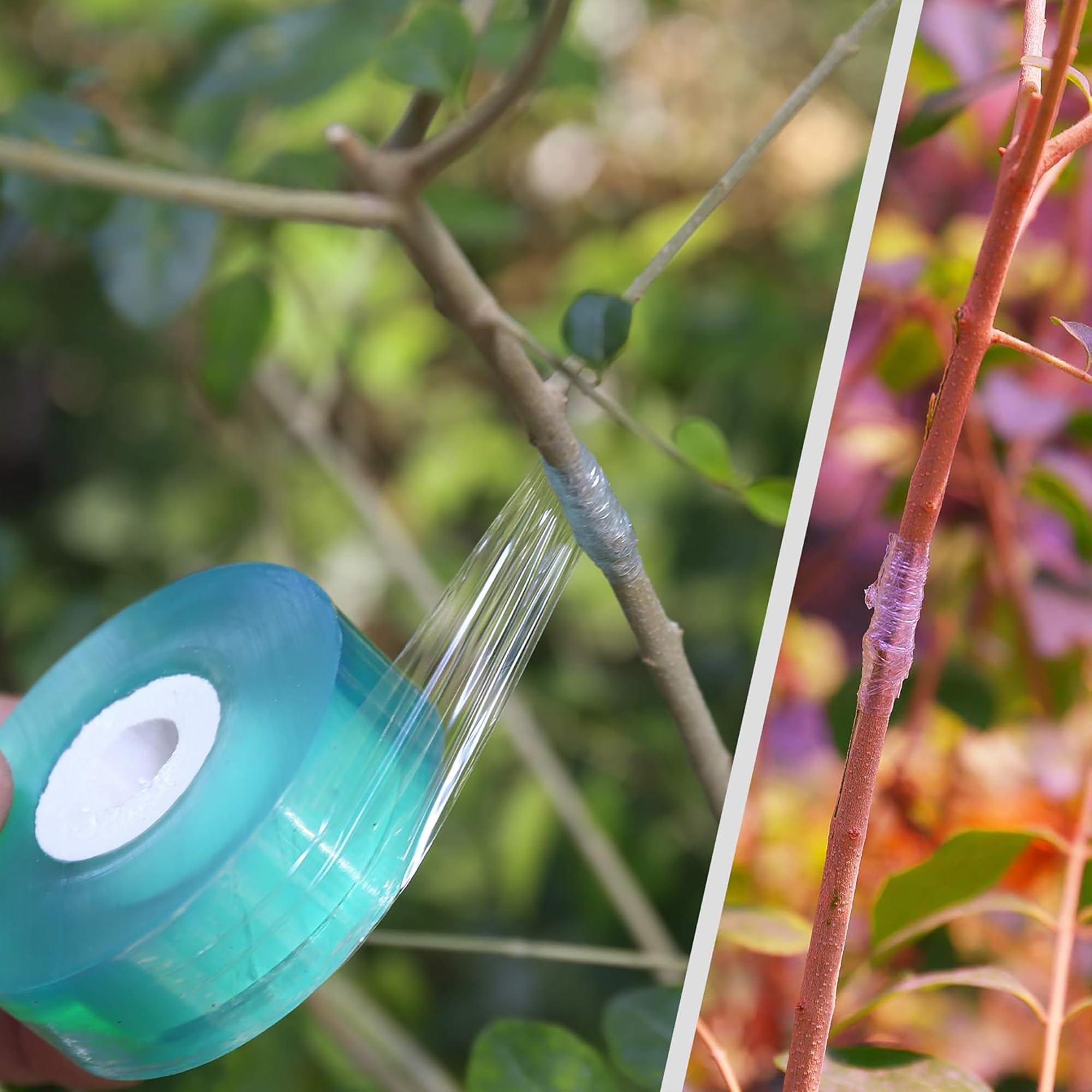 เทปพันกิ่งต้นไม้แบบย่อยสลายได้ - Gardening Tools Uses บทวิจารณ์และราคา