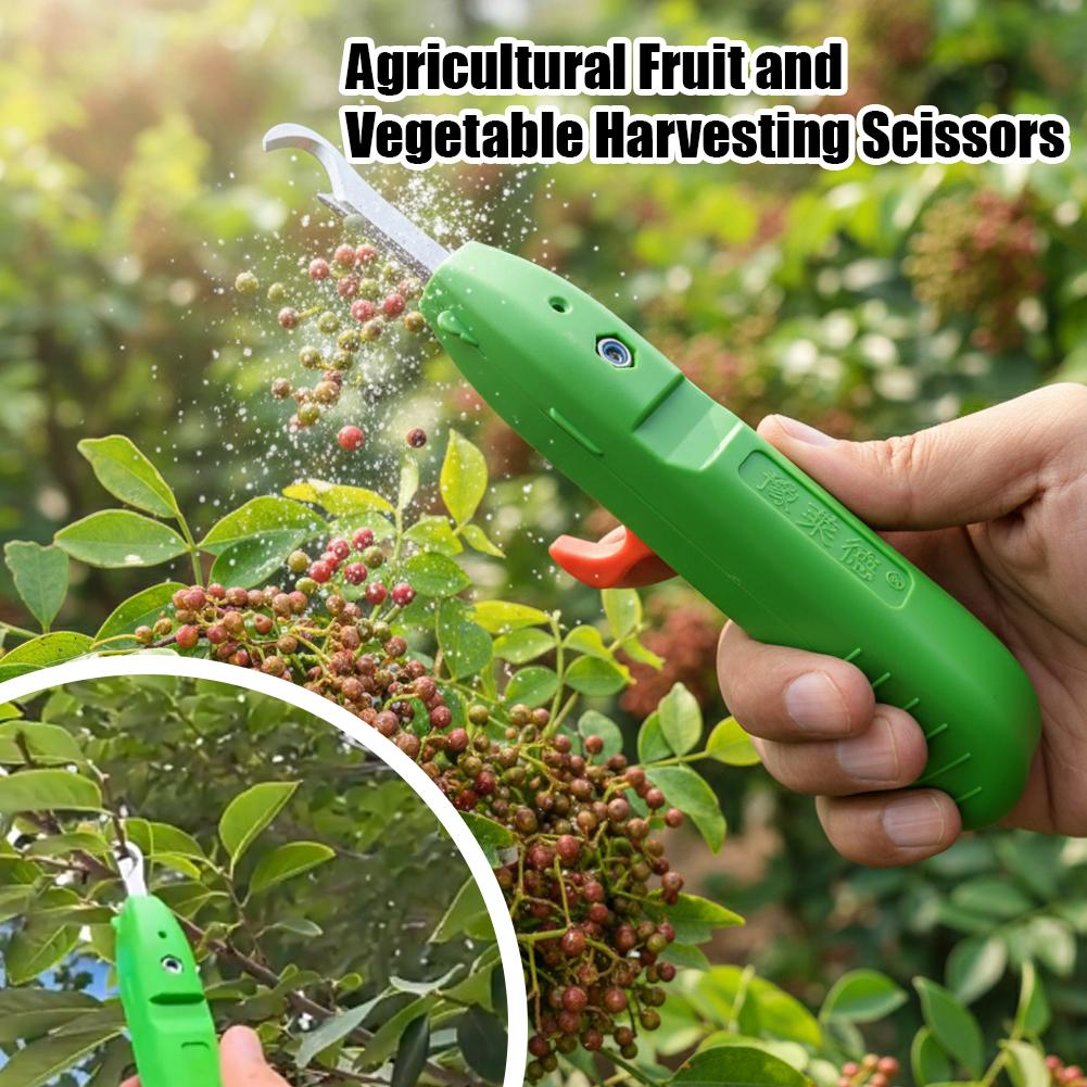 กรรไกรตัดผลไม้และผัก กรรไกรตัด - Gardening Tools Combo บทวิจารณ์และราคา