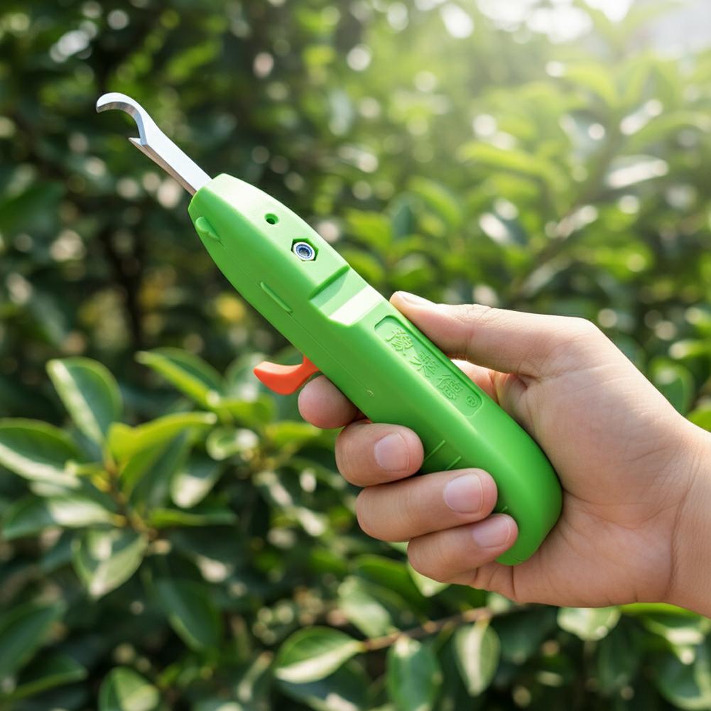 กรรไกรตัดผลไม้และผัก กรรไกรตัด - Gardening Tools Combo บทวิจารณ์และราคา