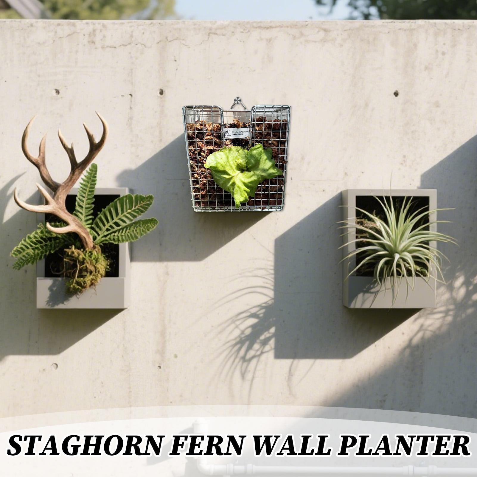 ชุดติดตั้งกระถางต้นเฟิร์น Stag - Vertical Wall Planter บทวิจารณ์และราคา