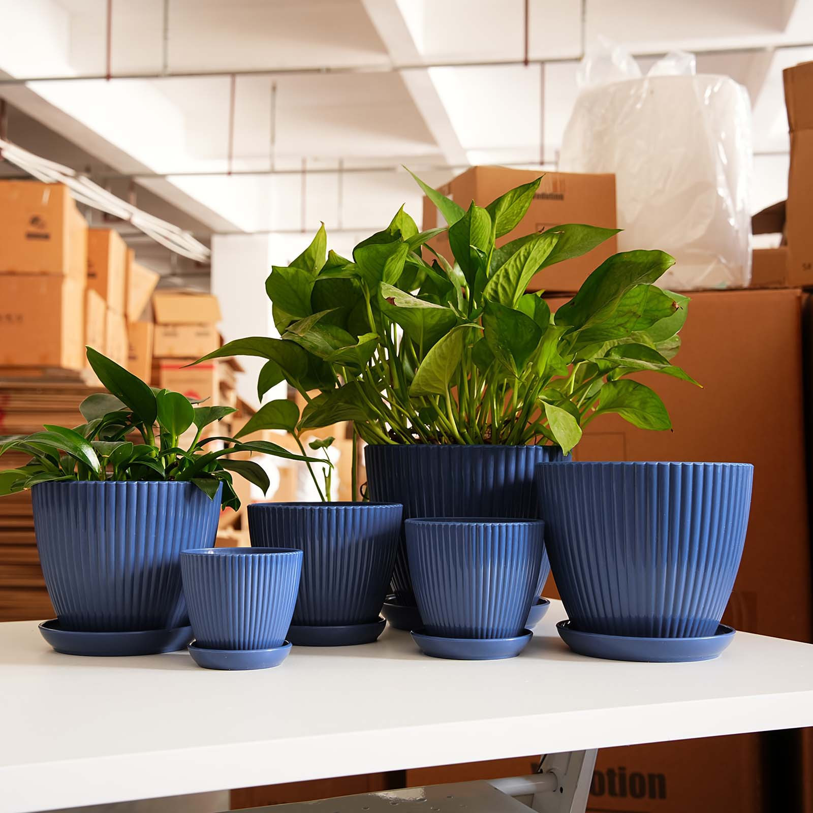 กระถางต้นไม้ลายทางแนวตั้งแบบหน - Vertical Wall Planter บทวิจารณ์และราคา