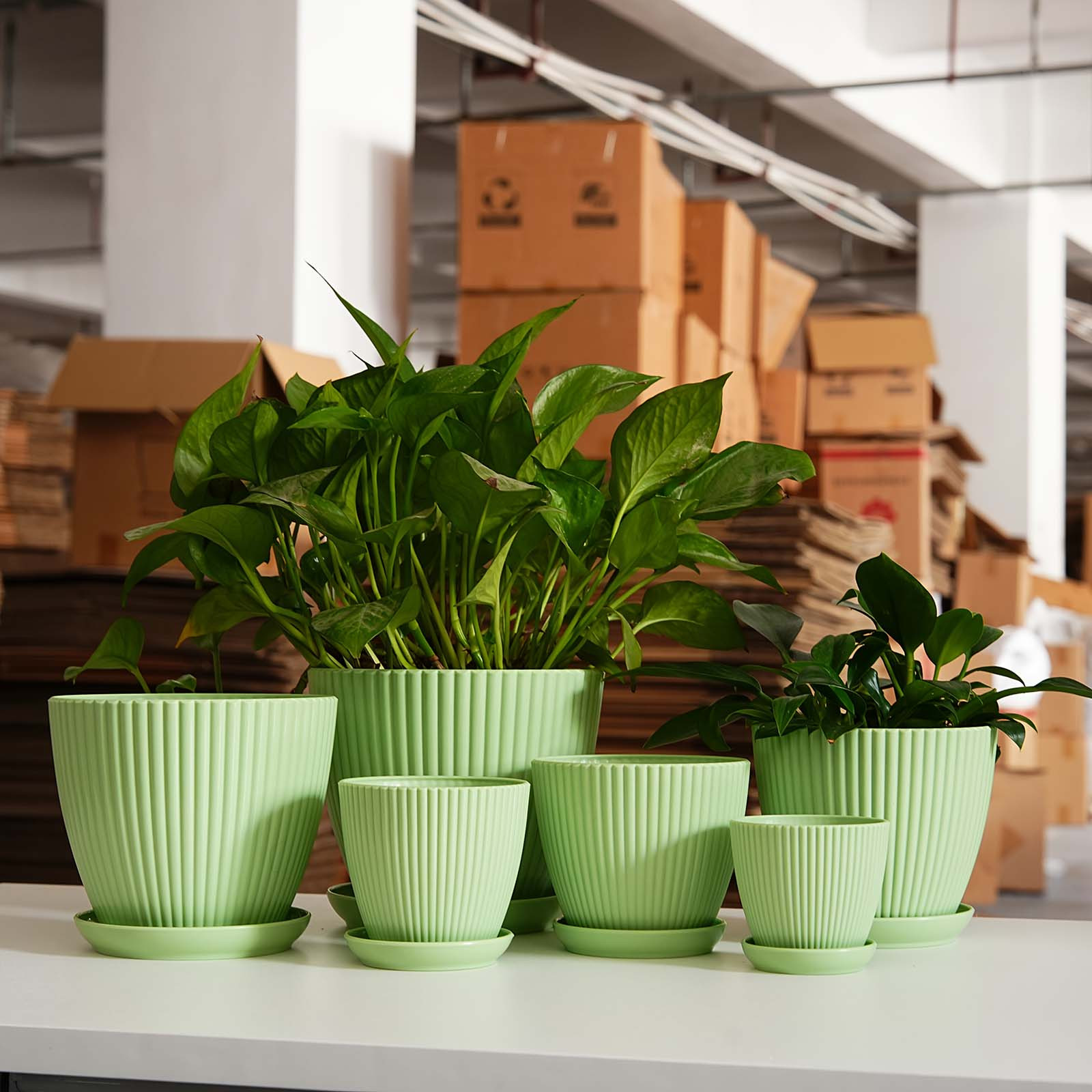 กระถางต้นไม้ลายทางแนวตั้งแบบหน - Vertical Wall Planter บทวิจารณ์และราคา