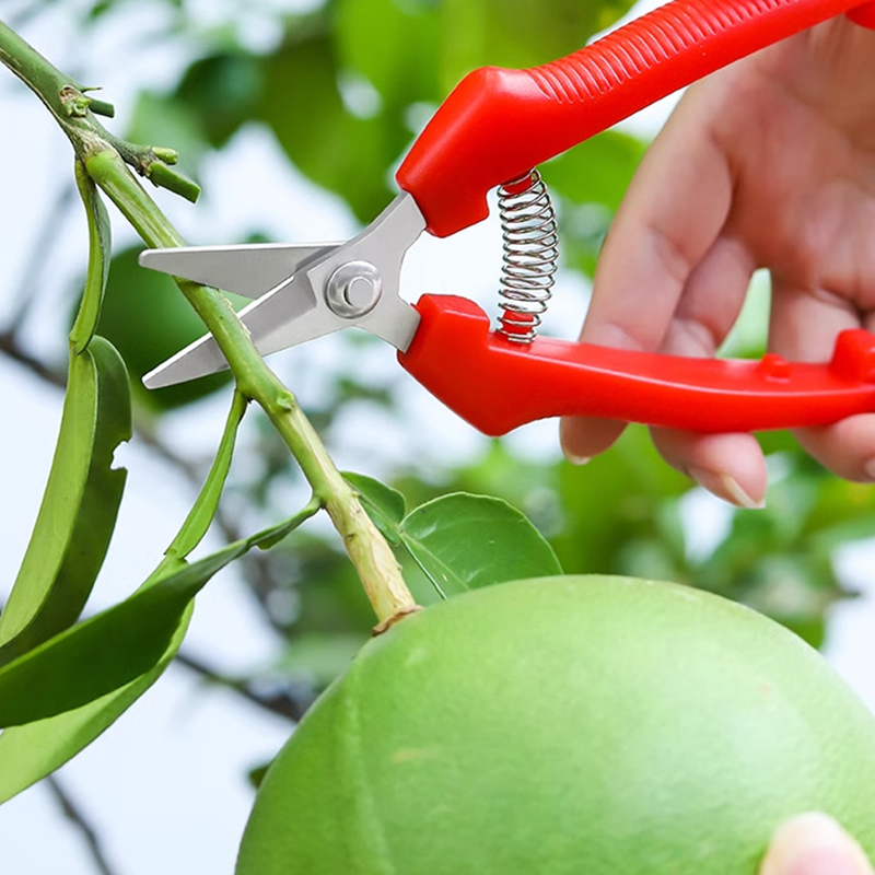 กรรไกรตัดแต่งกิ่งแบบมือเดียว ก - Gardening Tools To Cut Branches บทวิจารณ์และราคา