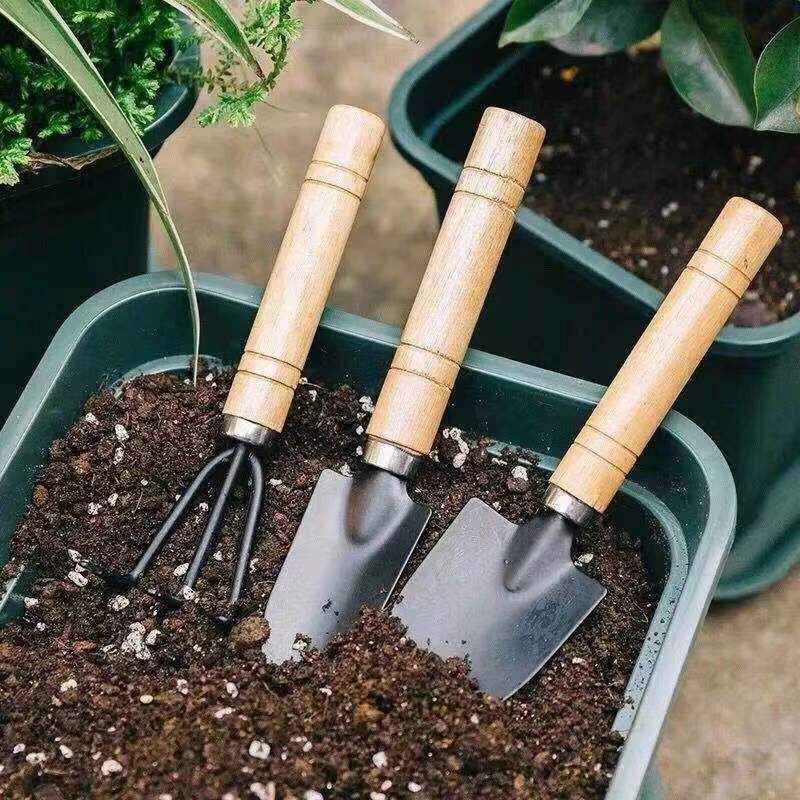 ชุดเครื่องมือทำสวนขนาดเล็ก 3 ช - Gardening Tools Combo บทวิจารณ์และราคา