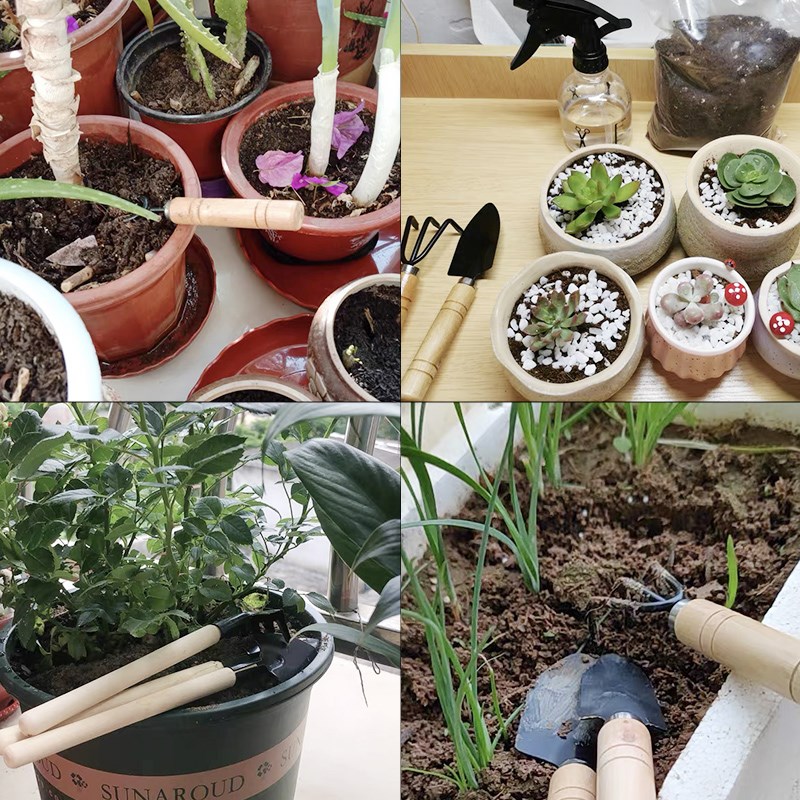 ชุดเครื่องมือทำสวนขนาดเล็ก 3 ช - Gardening Tools Combo บทวิจารณ์และราคา
