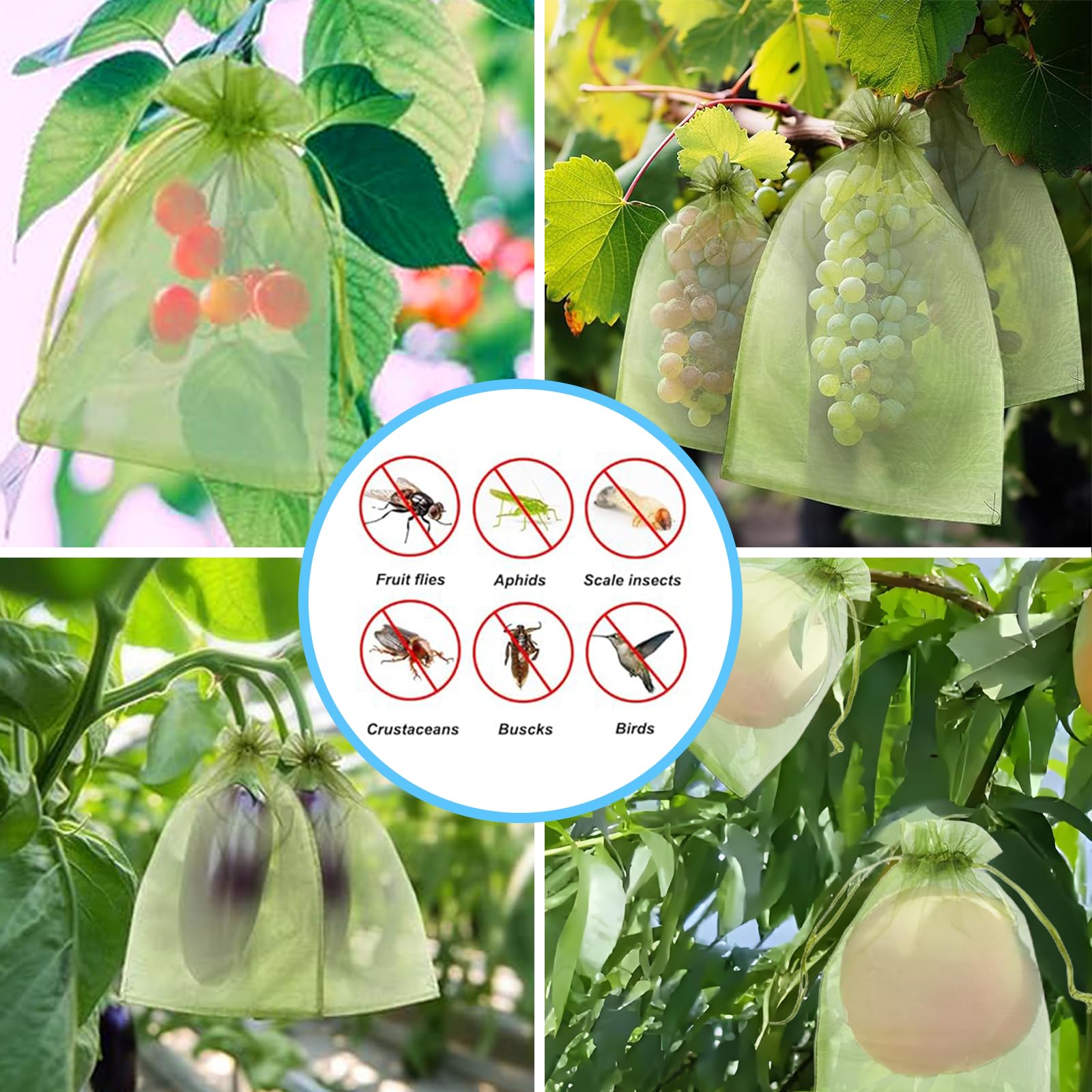 ตาข่ายป้องกันนกอย่างมีประสิทธิ - Grow Bags บทวิจารณ์และราคา
