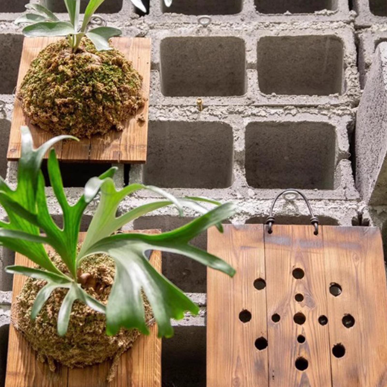 กระถางแขวนติดผนังลายใบเฟิร์นลา - Vertical Wall Planter บทวิจารณ์และราคา