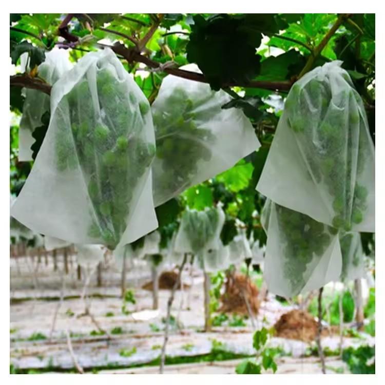 ถุงตาข่ายป้องกันผลไม้ในสวน 50  - Grow Bags บทวิจารณ์และราคา