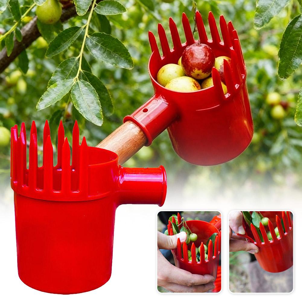 เครื่องมือเก็บผลไม้แบบพกพา ตะก - Gardening Tools Rack บทวิจารณ์และราคา