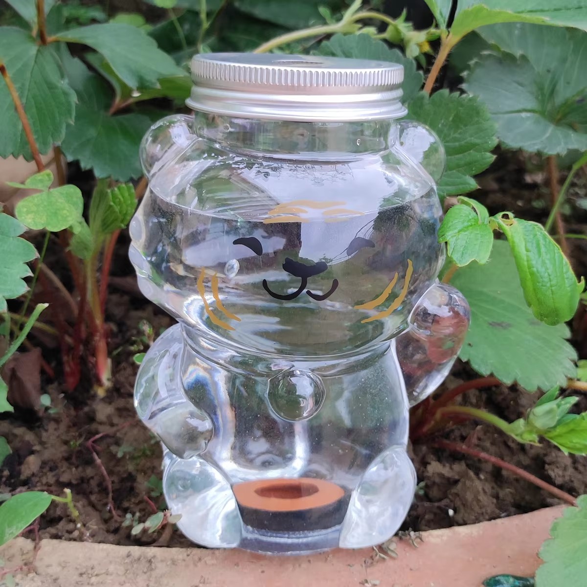 350 ML สวนอุปกรณ์รดน้ําอัตโนมั - Gardening Tools Box บทวิจารณ์และราคา