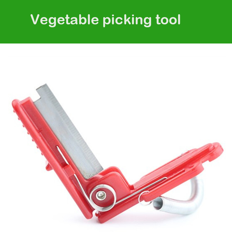 เครื่องมือหนีบจับหั่นผักผลไม้ส - Gardening Tools Youtube บทวิจารณ์และราคา