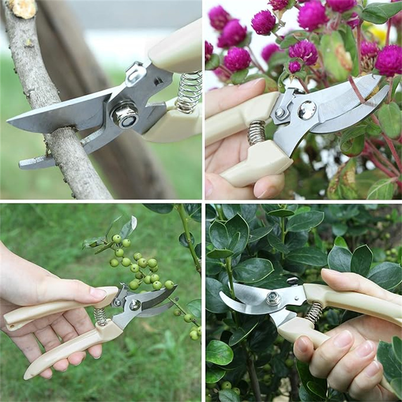 กรรไกรตัดแต่งกิ่งสแตนเลส 1 ชิ้ - Gardening Tools To Cut Branches บทวิจารณ์และราคา
