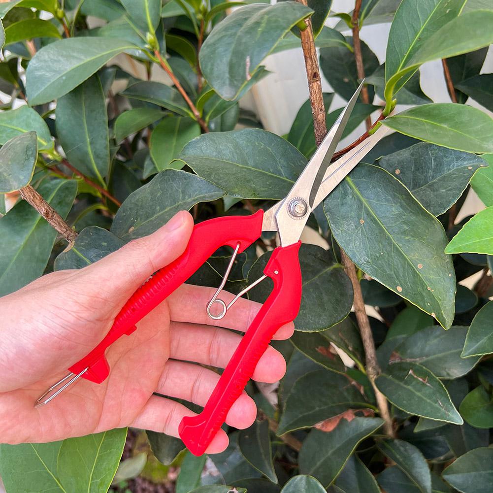 กรรไกรตัดแต่งกิ่ง Pro Garden แ - Gardening Tools Combo บทวิจารณ์และราคา