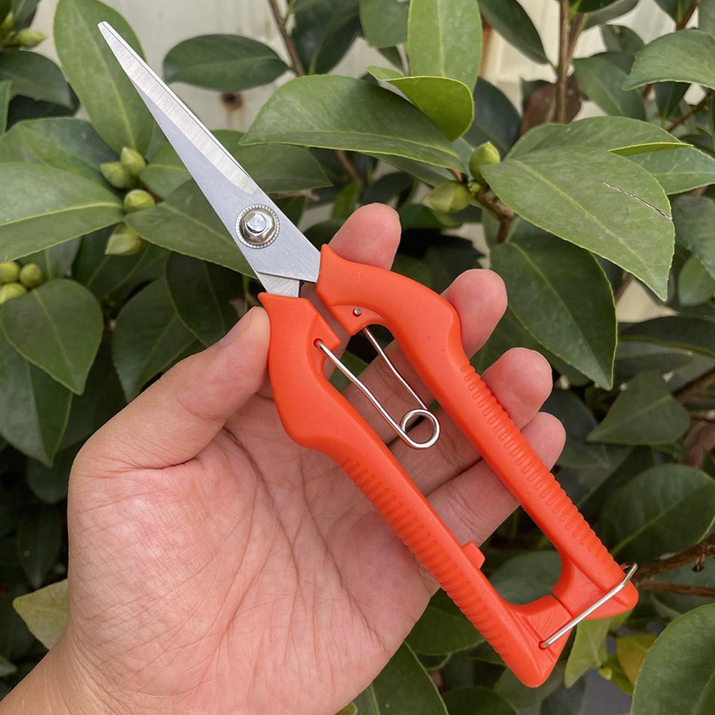 กรรไกรตัดแต่งกิ่ง Pro Garden แ - Gardening Tools Combo บทวิจารณ์และราคา