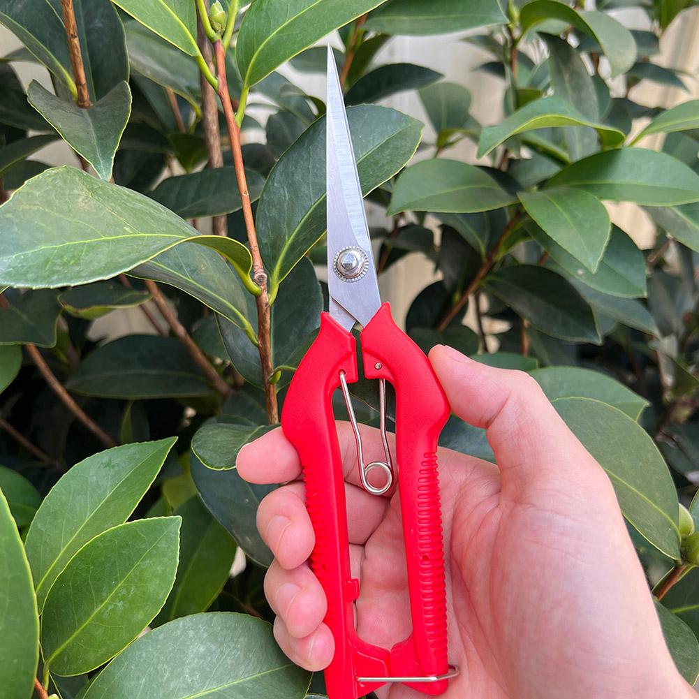 กรรไกรตัดแต่งกิ่ง Pro Garden แ - Gardening Tools Combo บทวิจารณ์และราคา