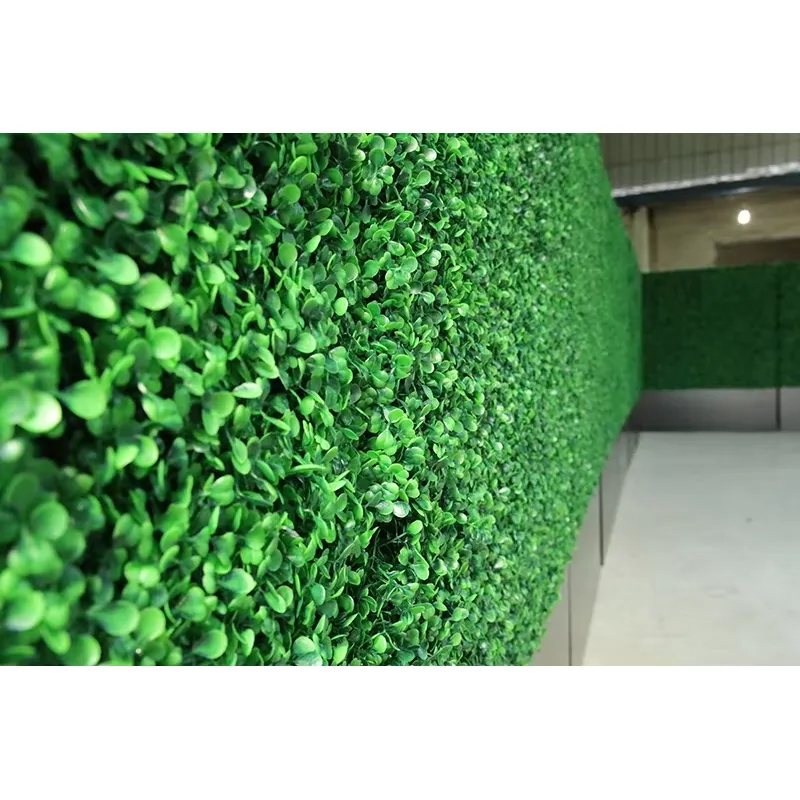 CQ-001 แผงหญ้าเทียมแนวตั้งทำมื - Vertical Wall Planter บทวิจารณ์และราคา