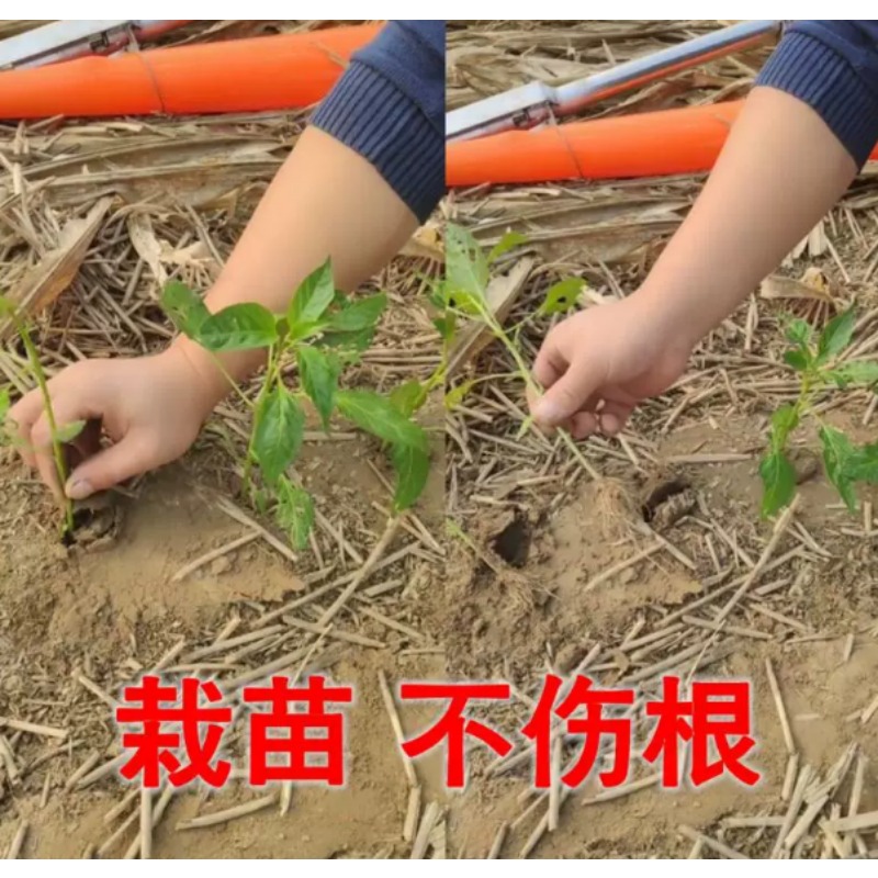 เครื่องปลูกต้นกล้าทางการเกษตร  - Fertilizer Dispenser บทวิจารณ์และราคา