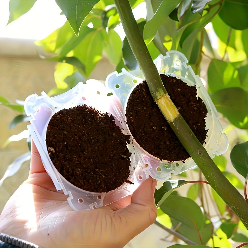 ชุดอุปกรณ์ขยายพันธุ์พืชแบบแรงด - Gardening Tools To Cut Branches บทวิจารณ์และราคา