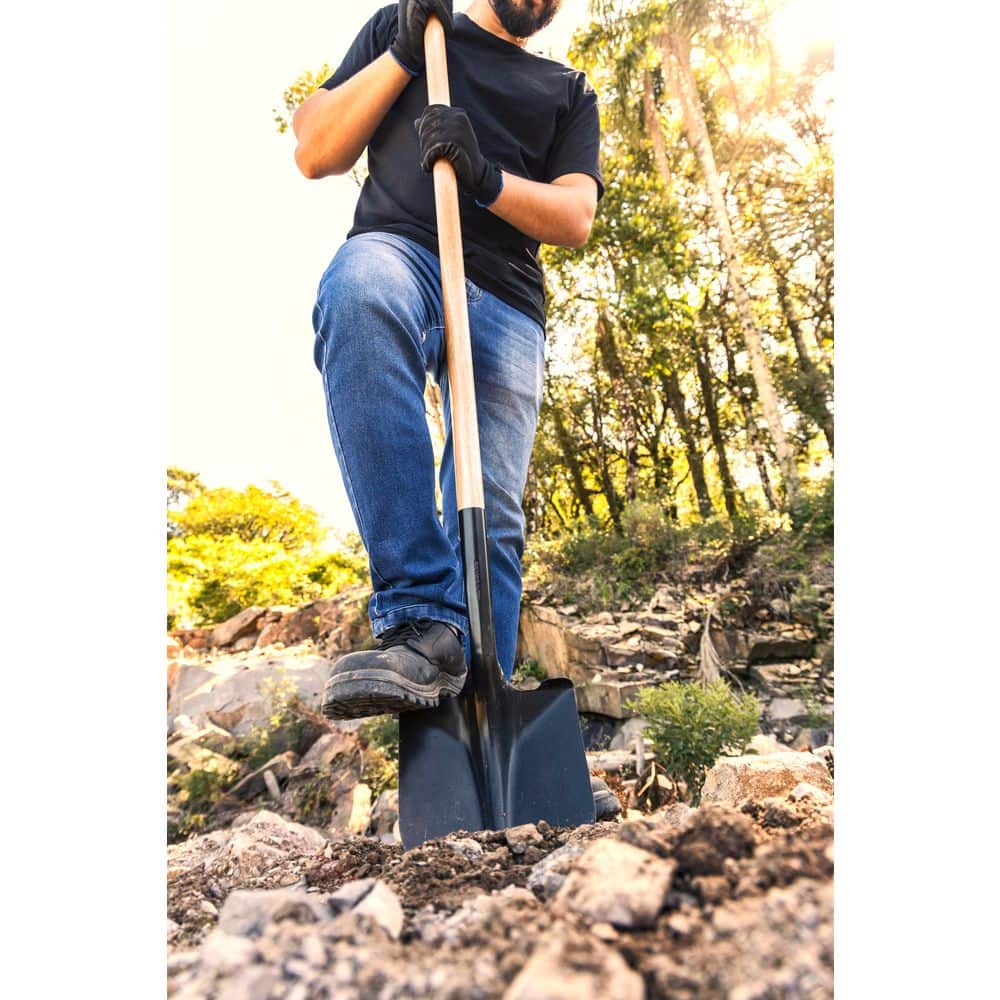 พลั่วขุดดินเหล็กกล้าคาร์บอนสำห - Gardening Hand Tools Yard บทวิจารณ์และราคา