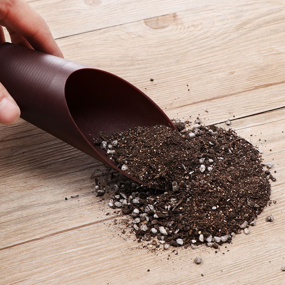 ถ้วยพลั่วดินพลาสติก1ชิ้นสำหรับ - Gardening Tools Spade บทวิจารณ์และราคา