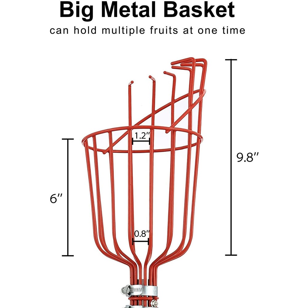 ที่เก็บผลไม้ยาว 260 ซม., ตะกร้ - Gardening Tools Rack บทวิจารณ์และราคา