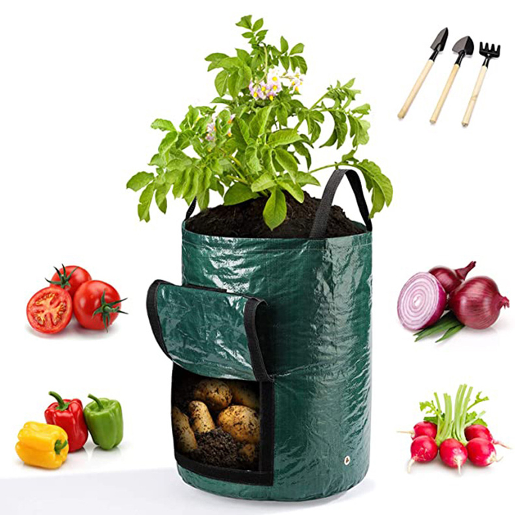 ถุงปลูกต้นไม้ขนาด 10 แกลลอน 1  - Grow Bags บทวิจารณ์และราคา